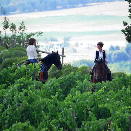 Castello Banfi - Il Borgo - Relais Et Chateaux Hotel Poggio alle Mura Ngoại thất bức ảnh