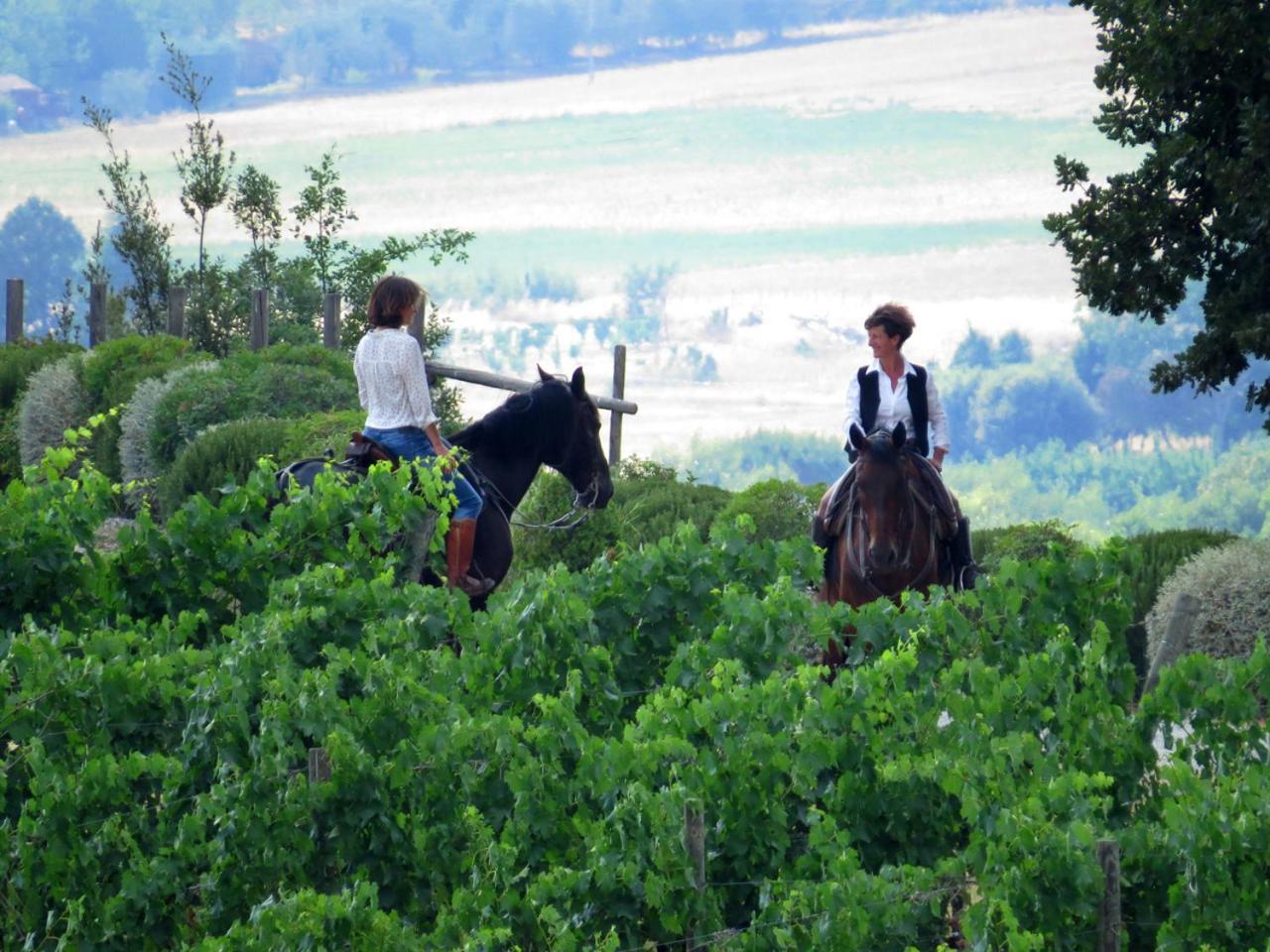 Castello Banfi - Il Borgo - Relais Et Chateaux Hotel Poggio alle Mura Ngoại thất bức ảnh